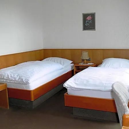 فندق Zentral Poststuben 3*